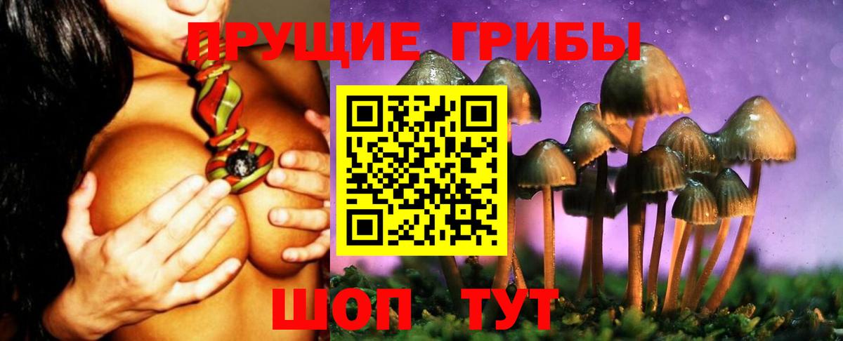Петропавловск-Камчатский  Галлюциногенные грибы Psilocybine cubensis  купить наркоту  Вход с VPN 